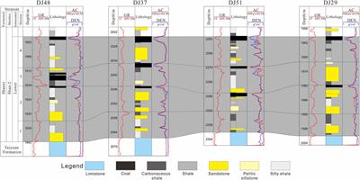 Factors controlling spatial distribution of complex lithology in transitional shale strata: Implications from logging and 3D seismic data, Shan-2 Lower Sub-member, Eastern Ordos Basin